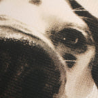 Off Leash Graphic T-Shirt