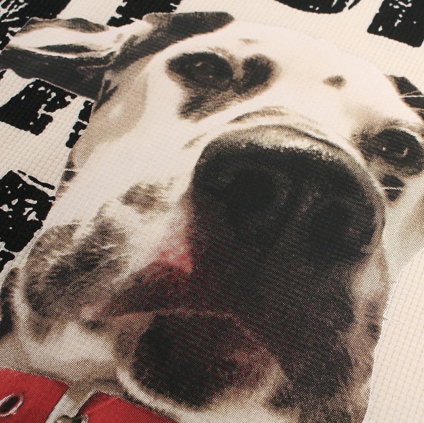 Off Leash Graphic T-Shirt