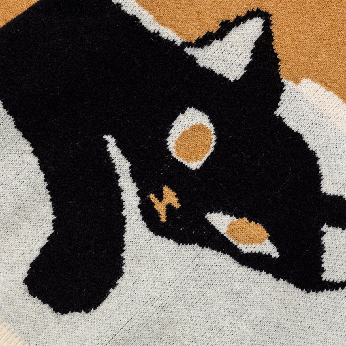 Midnight Prowl Collared Knit Sweater